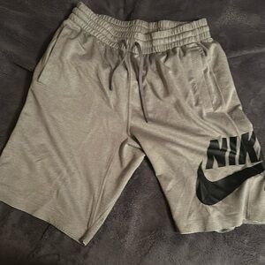 Nike SB Sunday Shorts, Gray, Small